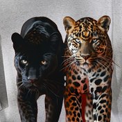 Resim Leopar Desenli Tişört, Her Mevsime Uygun, 2025 Yeni Yıl Hediyesi Moda Dar Kesim Kadın Günlük Üst 