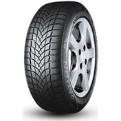 Resim Dayton 175/70R13 82T DW510E Kış Lastiği 2023 