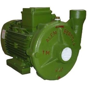Resim Alem Bertola K40 3hp Monofaze Santrifüj Pompa 