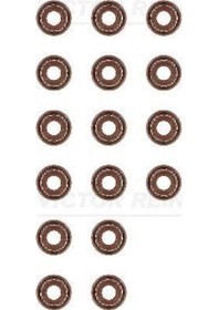 Resim REINZ 12-52738-1 Subap Lastiği Primera P12 X-Traıl 2.0 16V 16V 