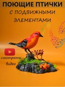 Resim Vilitori Bahçe İçin Müzikli Kuş Şarkı Deneyimli Oyuncak 168193137 