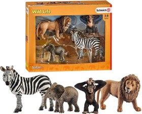 Resim Schleich WL Başlangıç Seti 42387 
