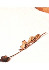 Resim Re x Tavşanı Kısa Tüylü Post Peluş Beyaz (499448069) 