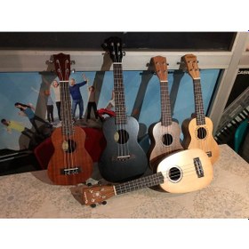 Resim Profesyonel Uk500 Maun Ağacı Ukulele Gitar-Masif Ağaç-Gül Aksamlı 
