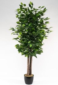 Resim YAPAY ÇİÇEKÇİNİZ Siyah Saksıda Yoğun Yapraklı 100 Cm Benjamin Ağacı 