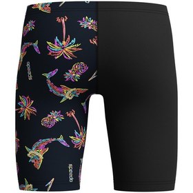 Resim Speedo Printed V-cut Jammer Erkek Çocuk Yüzücü Mayosu Çok Renkli 