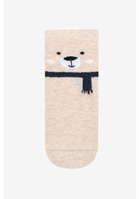 Resim Penti Erkek Çocuk Cold Bear 3lü Çok Renkli Soket Çorap 