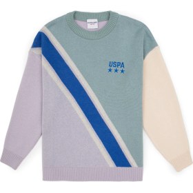 Resim U.S. Polo Assn. Erkek Çocuk Mint Renk Düz Yaka Kazak Trend Stil 50315608-VR090 