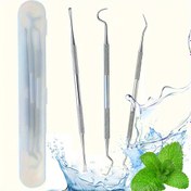 Resim Taşınabilir Saklama Kutulu Diş Temizleme Aracı Seti, Diş Temizliği, Paslanmaz Çelik Çift Başlıklı Temizlik Araçları, Evcil Hayvan Diş Temizleme Aracı Seti, Diş Hekimleri, Bireyler ve Evcil Hayvanlar için Uygun, Evcil Hayvanlar ve Yetişkinler İçin 