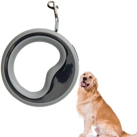 Resim Süslü Pati 2.5 M Otomatik Köpek Gezdirme Tasması 