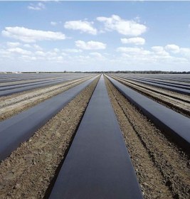 Resim Malç Naylonu Siyah Deliksiz 120 Cm En X 100 Metre 