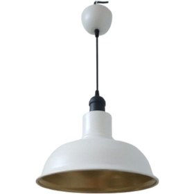 Resim Rys Retro Metal Dekoratif Beyaz Içi Gold Siyah Duylu Tekli Sarkıt (536632806) 