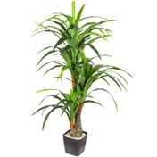 Resim Euroflora HDYEN02384 Yapay Dracaena Gerçek Dokulu 3 Dallı 160 cm 
