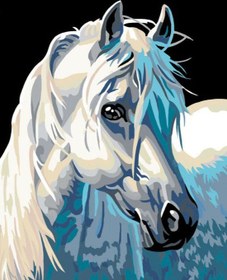 Resim Sayılarla Boyama Seti - Beyaz At - 60x75 