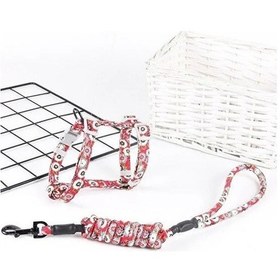 Resim River World Ayarlanabilir Çiçek Modelli Kedi Gezdirme Seti Göğüs Tasması Çok Renkli 