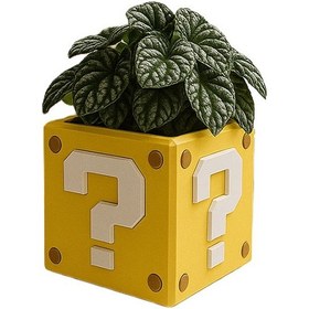 Resim Super Mario Soru İşareti Saksı-fibrika Store 