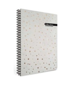 Resim Polka 17x24 Notes Spiralli Çizgili Sert Kapaklı 120 Yaprak Defter 