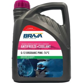 Resim Brava G-12 Organic Antifreeze Pink -74°C 3 KG 