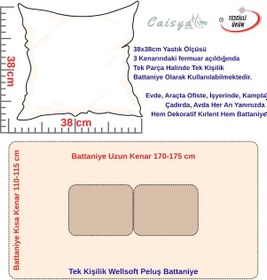 Resim Zodyak Kedisi Baskılı Tv Battaniyeli Opsiyonel Dekoratif Yastık Kırlent 2 İn 1 Battaniye Çok Renkli 