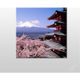 Resim Kar Ve Çiçekler Kanvas Tablo 200x200cm 