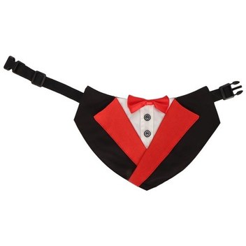 Köpek Smokin Yongtao M