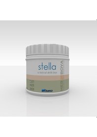 Resim Bianca Stella Saf Akrilik Boya Ayza 0,5 Lt 