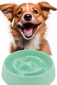 Resim Hype Store Evcil Hayn Yaş Mama Yeme Kabı Yaş Besleyici Kedi Köpek Mama Kabı Orta Boy 375 ML 1450 