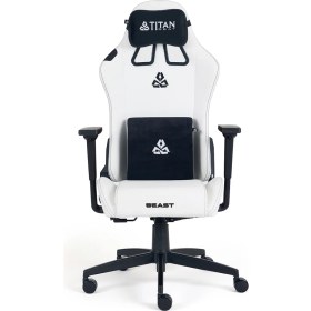 Resim Titanseat Beast Leather White Oyuncu Koltuğu 