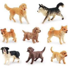 Resim Köpek Figürleri Playset 8 Adet Gerçekçi Detaylı Plastik Köpek Diğer 