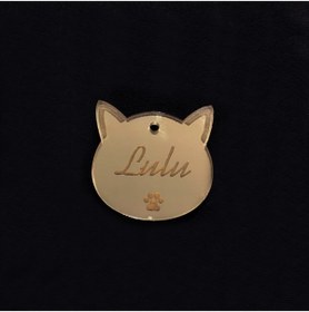 Resim YENİ HEDİYELİK DÜNYAM Gümüş Kedi Künye Isimlik Pleksi 2 Adet 3x3 Cm 