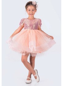 Resim Kısa Kol Balerin Elbise Tütü Etek Pul Payetli SOMON 