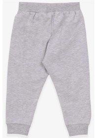 Resim Breeze Kız Bebek Eşofman Altı Kedi Baskılı 6 Ay-2 Yaş, Açık Gri Melanj-açık Gri Melanj Açık Gri Melanj 