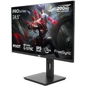 Resim DRAGOS PRO Series P245FHD200 24.5" 1 ms Full HD Pivot IPS 200 Hz Oyuncu Monitörü 