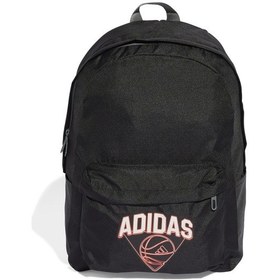 Resim Adidas Cl Bpk Hoops Unisex Sırt Çanta Jg1086 Siyah Jg1086 Siyah 