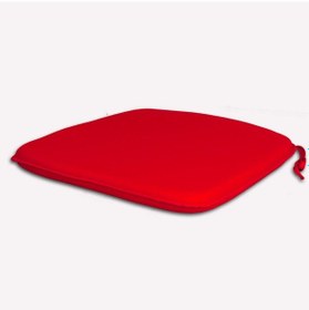 Resim Koltuk Sandalye Minderi 42x45x3,5cm Kırmızı 