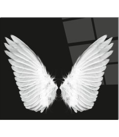 Resim Olinpa Cam Ocak Arkası Koruyucu | Isimli 