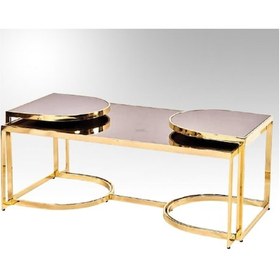 Resim Ogem 107 Buket Orta Sehpa Seti Metal Transmisyon Gold Kaplama. It 