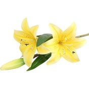 Resim Sarı 1 Adet Yapay Çiçek Şube Canlı Kolay Bakım Plastik Güzel İpek Zambak Buketi Dekor Düğün İçin 