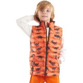 Resim Ahengim Erkek Çocuk Dino Baskılı Trend Şişme Yelek Ak216061 Turuncu 