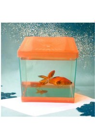 Resim Kare Mini Akvaryum Turuncu 20 x 20 x 15 CM 