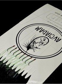 Resim İstavrit Çapari Acık Yeşil Kıyı 