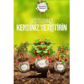 Resim MCM Group Konserve Bahçem Nane Yetiştirme Kiti 
