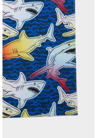 Resim Erkek Çocuk Baskılı Plaj Havlusu Diğer 