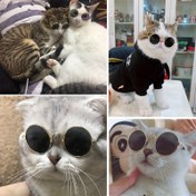Resim Kediler & Köpekler için Capricious Evcil Hayvan Moda Gözlükleri - Eğlenceli & Şık Yuvarlak Çerçeve Aksesuarı, Teddy Irkları & Benzersiz Hayvan Moda İfadeleri için Mükemmel, Sevimli Evcil Hayvan Aksesuarları 