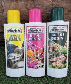 Resim Bitki Besini 3' lü Set Kaktüs Sukulent Besini Çiçek Açtıran 