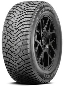 Resim Falken 205/60 R16 96T Xl Tl Winter Peak F-Ice1 Oto Kış Lastiği (Üretim YILI: 2025) 