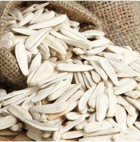 Resim Doğal Geleneksel Beyaz Çerezlik Çitlemelik Ayçiçeği Fidesi 5 Ade 