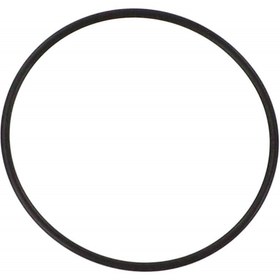 Resim AGCO O-Ring - Massey Ferguson / Fendt / Valtra | ACP0545940 