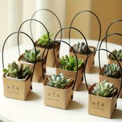 Resim 40 Adet Mini Sukulent Saksı Seti - Öğretmen Takdiri, Şükran Günü Dekorasyonu, Küçük İşletme Malzemeleri için Metal Saplı Beyaz Kraft Kağıdı Çiçekçi Kutuları 
