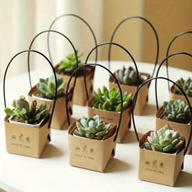 Resim 40 Adet Mini Sukulent Saksı Seti - Öğretmen Takdiri, Şükran Günü Dekorasyonu, Küçük İşletme Malzemeleri için Metal Saplı Beyaz Kraft Kağıdı Çiçekçi Kutuları 